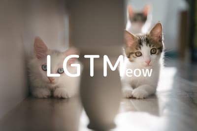 lgtm-cat-image