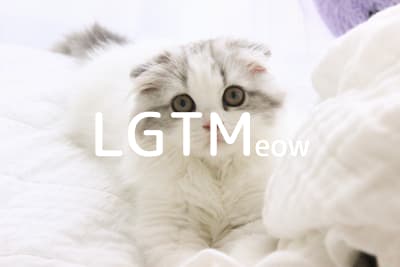 lgtm-cat-image