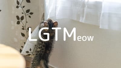 lgtm-cat-image