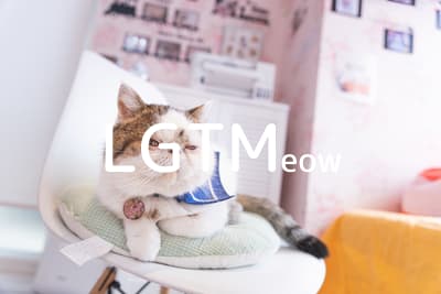 lgtm-cat-image